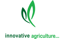 Auriga Group