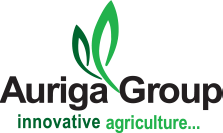 Auriga Group